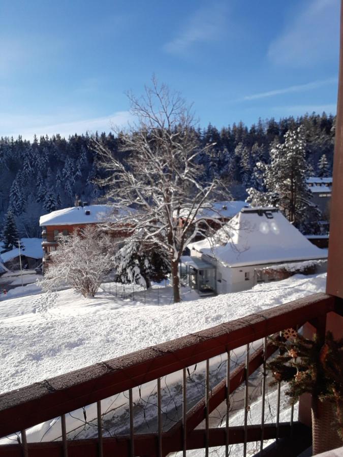 Kozel 1 Apartman Janské Lázně Kültér fotó
